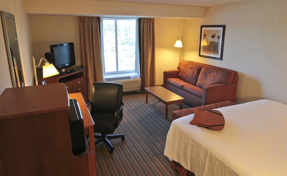 Hampton Inn Hampton Newport News - photo 6