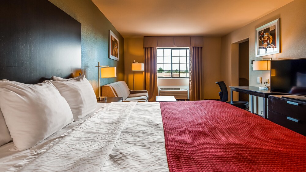 Best Western Plus The Woodlands - photo 10