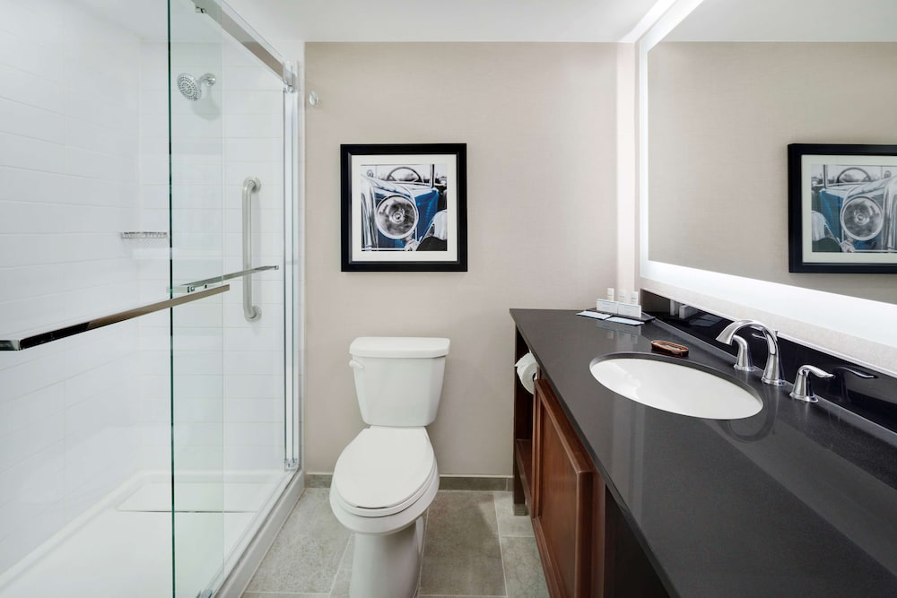 Embassy Suites by Hilton Detroit Troy Auburn Hills - photo 40