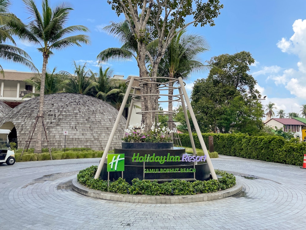 מראה חיצוני