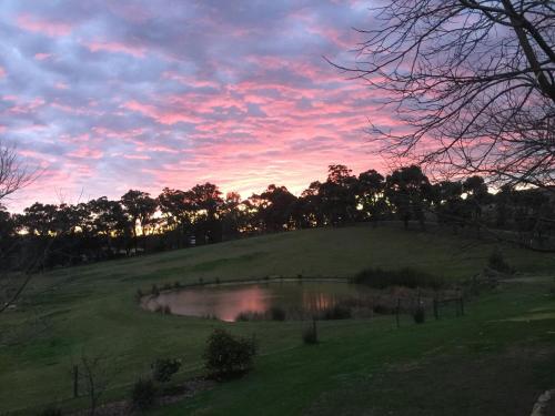 Raynella Alpaca Farmstay — hotel in Seville