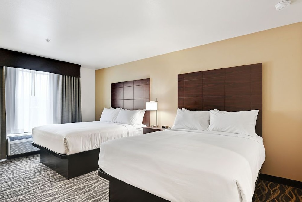 Cobblestone Hotel & Suites Mosinee - photo 44