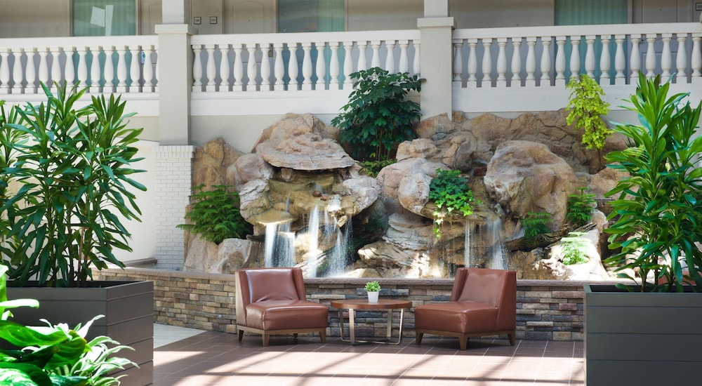 Embassy Suites by Hilton Colorado Springs - photo 65