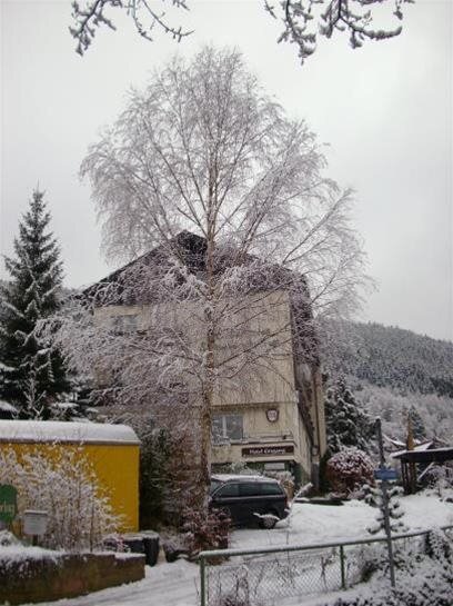 Christliches Nichtraucher Hotel Garni Sonnenbring in Bad Wildbad, Germany