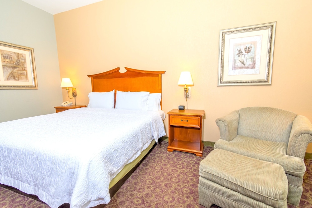 Hampton Inn and Suites College Station - photo 19