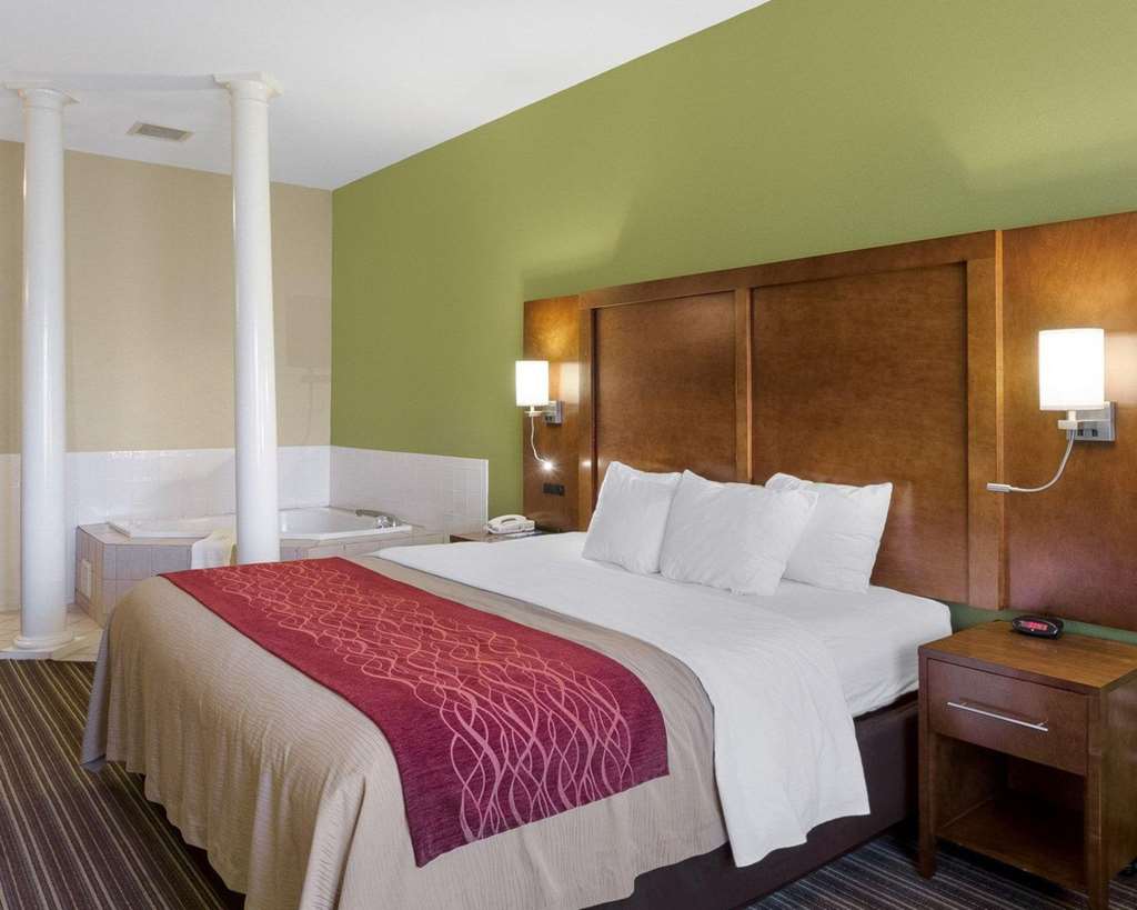 Comfort Inn & Suites Fayetteville University Area - photo 18