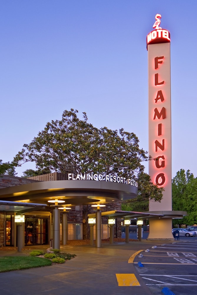 Flamingo Resort & Spa Santa Rosa Sonoma Tapestry by Hilton - photo 85