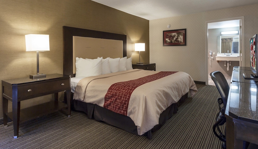 Red Roof Inn & Suites DeKalb - photo 11