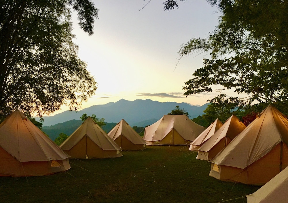 Glamping Finca Margaritas — hotel in Pluma Hidalgo