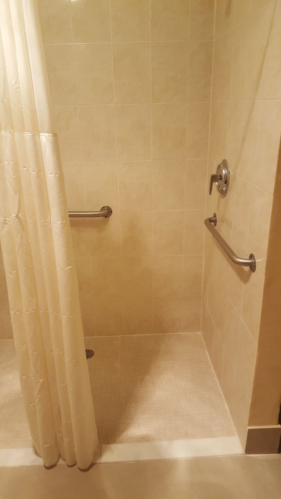 Econo Lodge Busch Gardens - photo 43