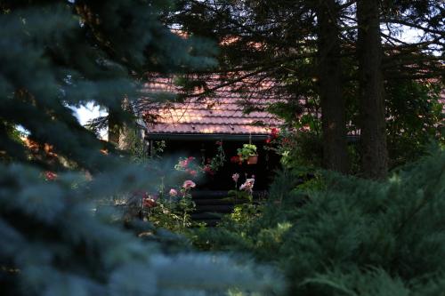 Kuća za odmor MARA in Duga Resa, Croatia