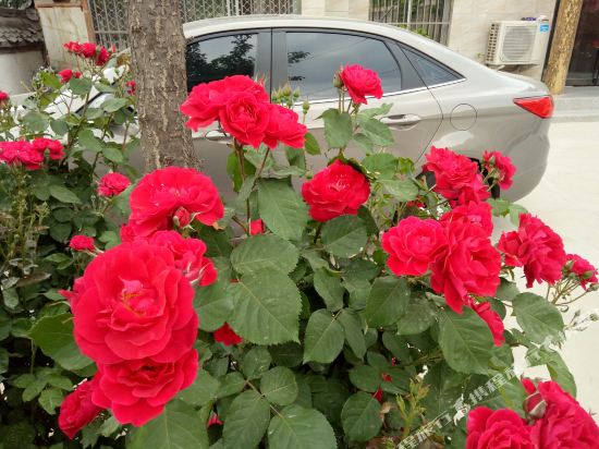 Lemon Station Hotel in Huayin, People's Republic of China