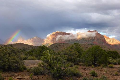 2 Cranes Inn Zion - photo 35