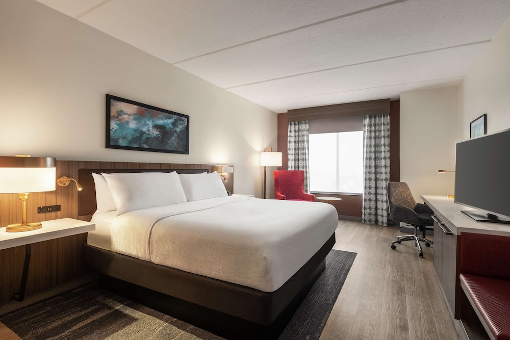 Hilton Garden Inn Palm Coast Town Center - photo 14