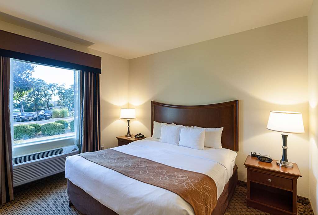 Comfort Suites Stone Oak - photo 9