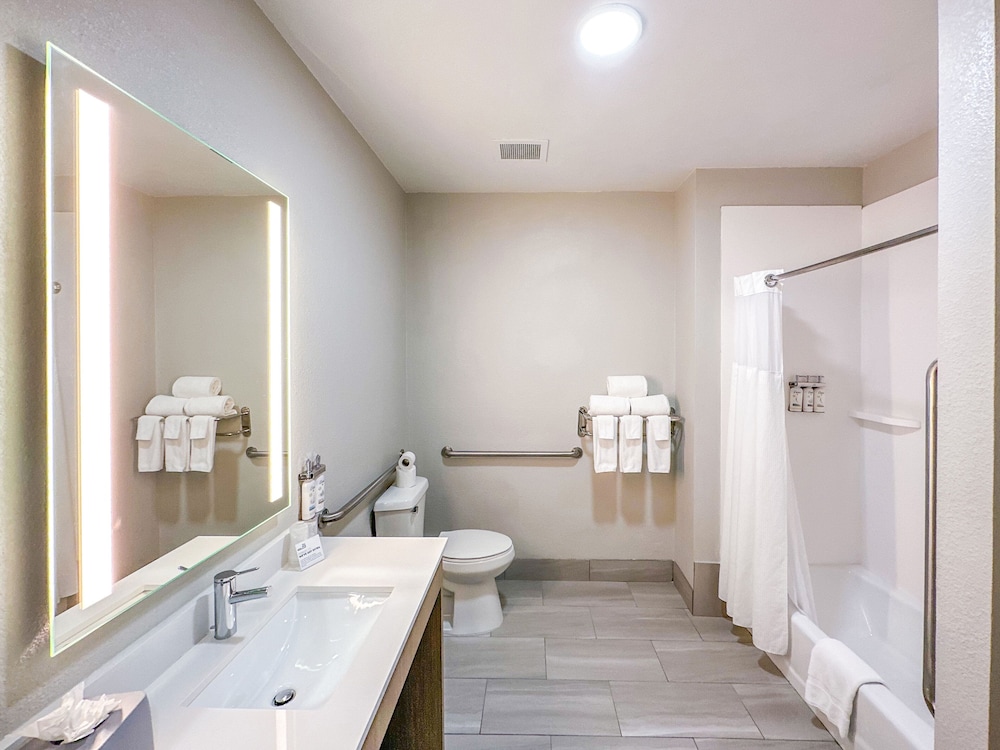 Holiday Inn Express Hotel & Suites Ennis by IHG - photo 10