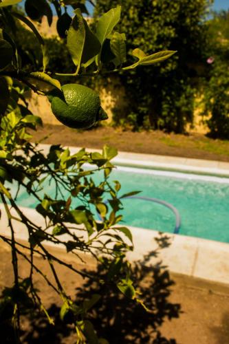 Casona Leyría Boutique — hotel in Azul