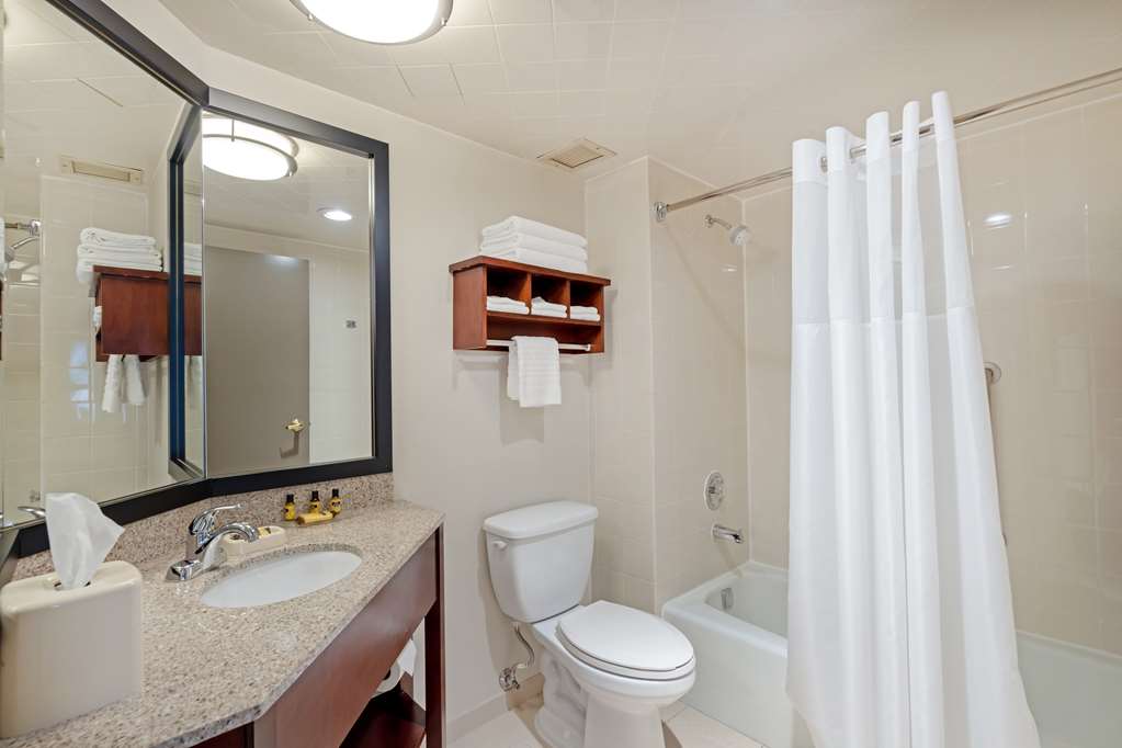 Best Western Plus Chicagoland Countryside - photo 18