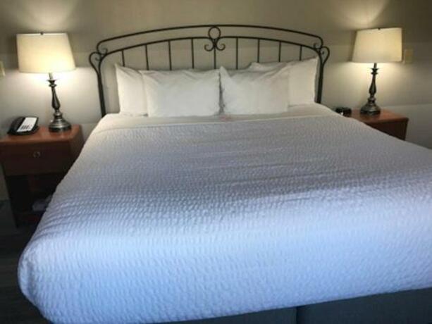 River District Hotel - photo 6