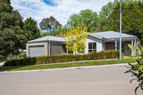 Mountain Bike Haven in Bright, Australia