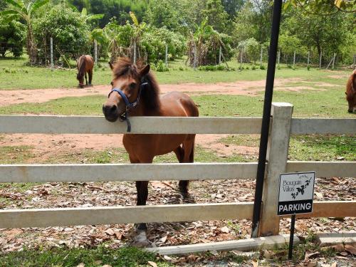 Bougain Villas Adults Only — 4-Star Luxury Hotel in Chiang Dao, Thailand
