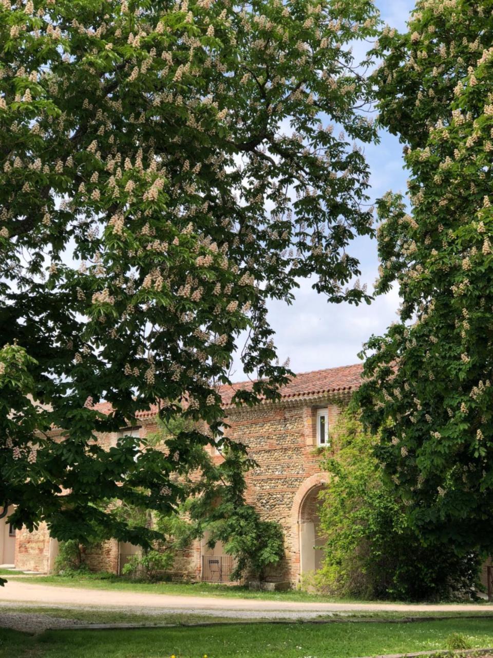 Domaine de la Terrasse in Carbonne, France