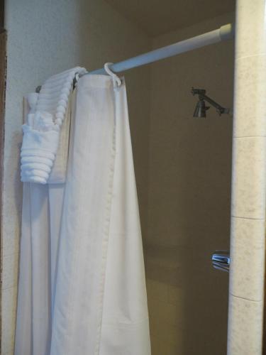 Alamo Inn - photo 15