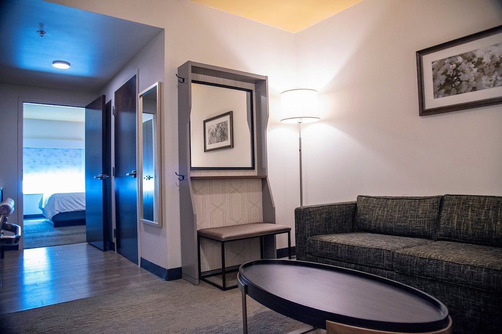 Holiday Inn Hotel & Suites Savannah Airport Pooler - photo 26