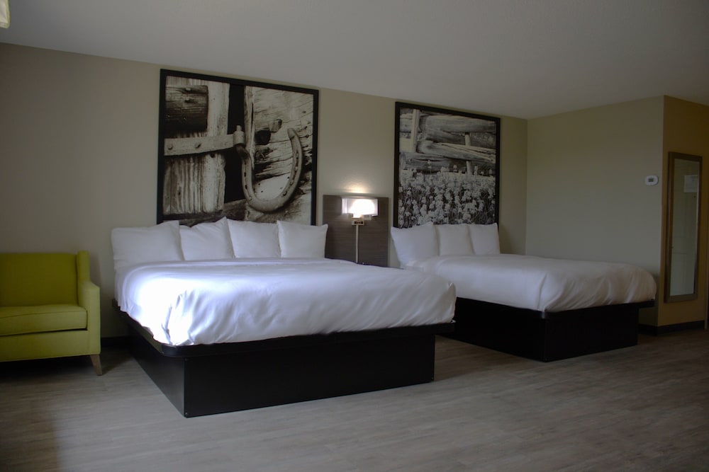 Super 8 by Wyndham Lamar - photo 14