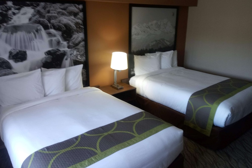 Super 8 Lynnwood - photo 4