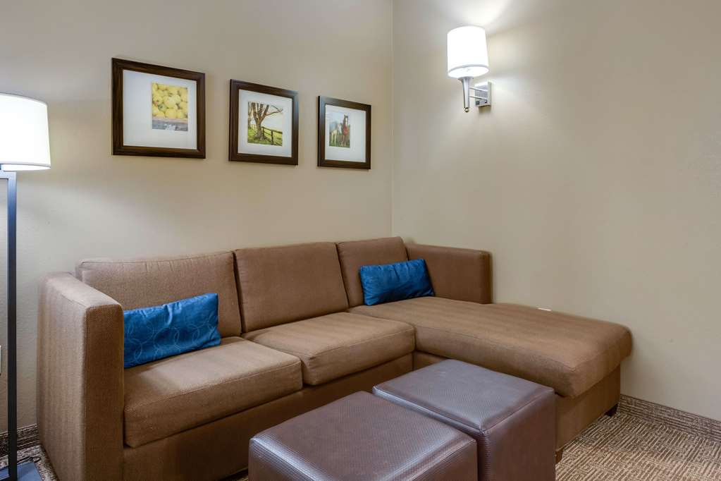 Comfort Suites Hotel and Conference Center - photo 23