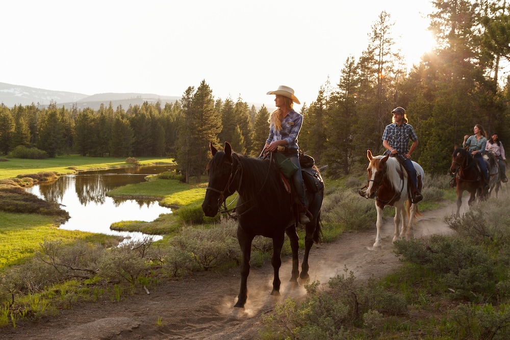 Headwater S Lodge Cabins At Flagg Ranch - photo 18
