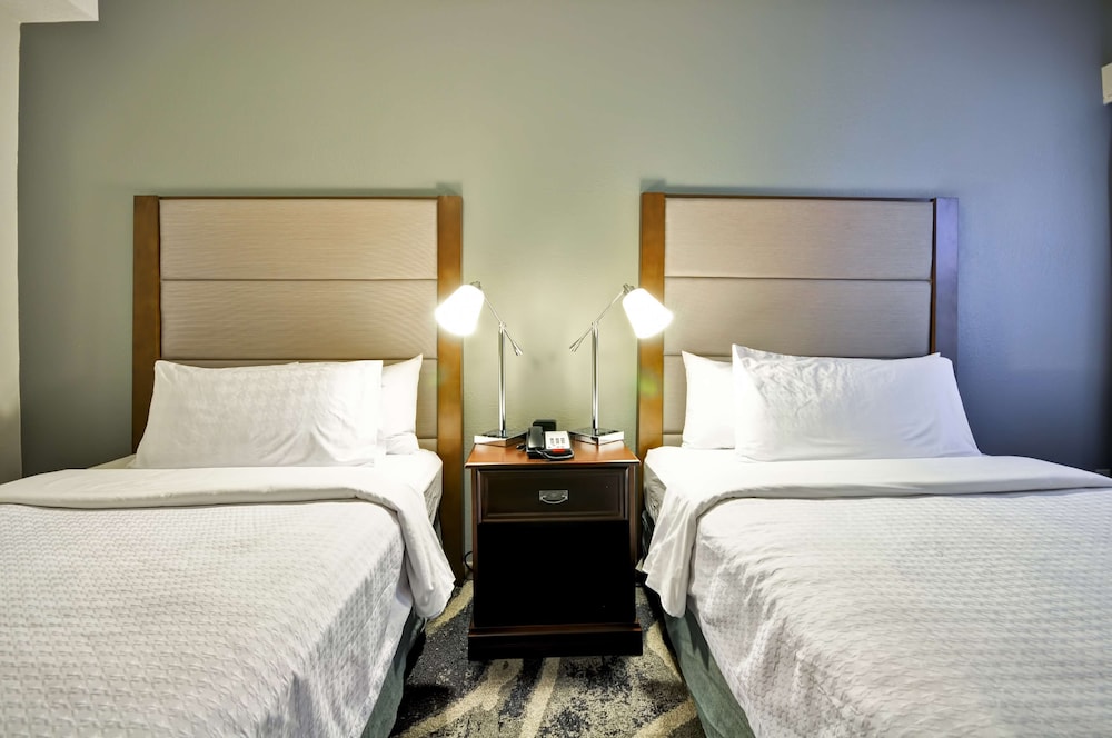 Homewood Suites by Hilton Memphis Germantown - photo 8