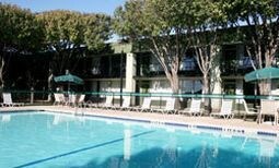Whitten Inn University - photo 11