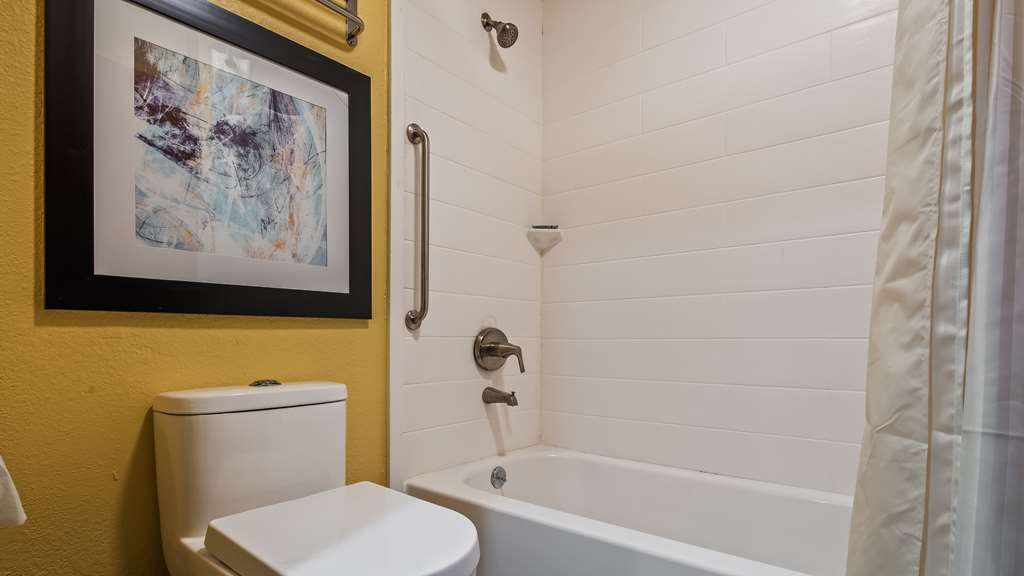 Best Western DeWitt - photo 19