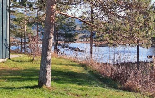 Elg Hytte 2 — Unknown City — photo 2