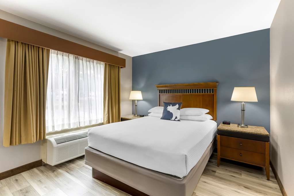 Best Western Denver Southwest - photo 3