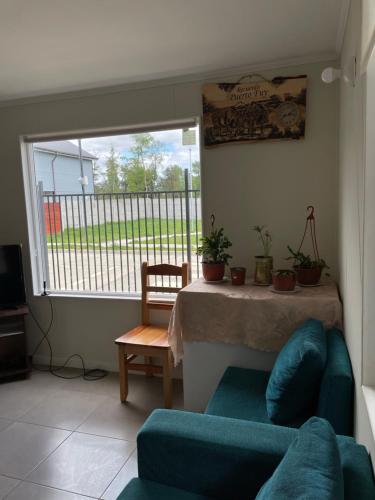 Alojamiento vista hermosa Villarrica in Villarrica, Chile