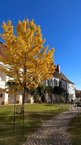 Schloss Welsdorf — 4-Star Luxury Hotel in Fuerstenfeld, Austria