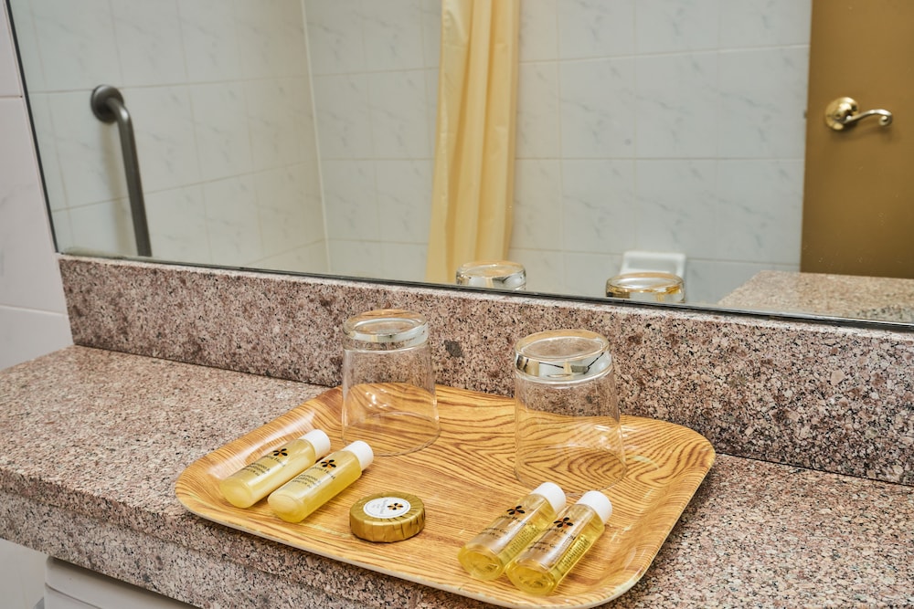 Flushing Hotel - photo 40