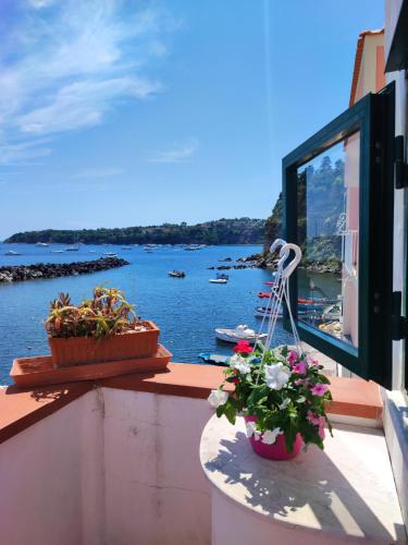 La casa di Nonna Rosa — 4-Star Luxury Hotel in Procida, Italy