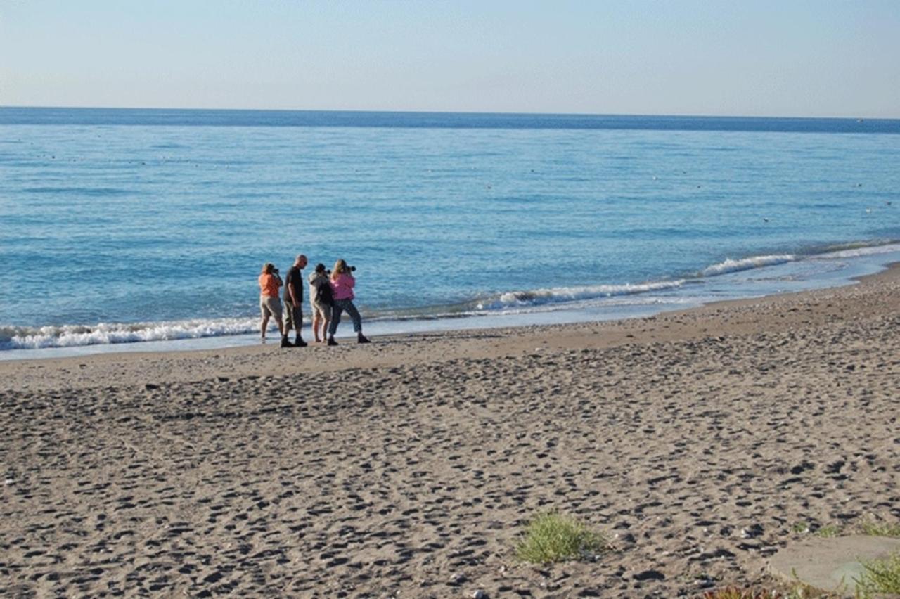 Angustias — Torrox — photo 2