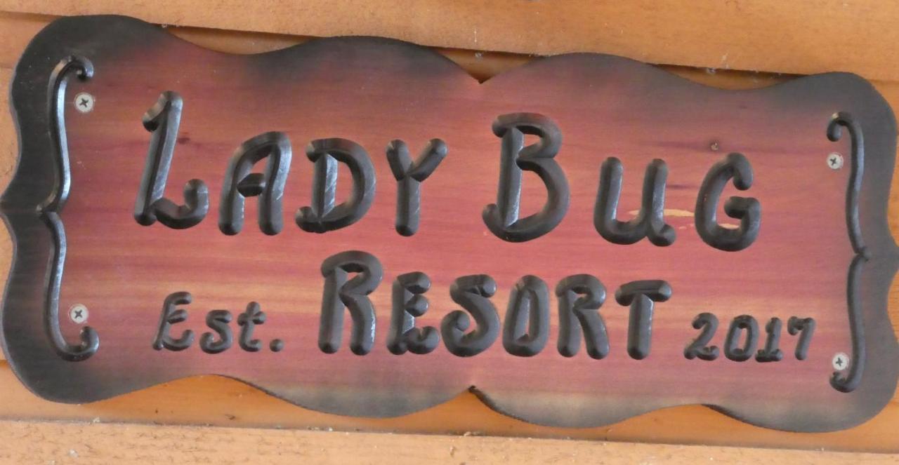 Ladybug Resort Romantic Cabin with Mountain Views Game Room Close To Dollywood - photo 26