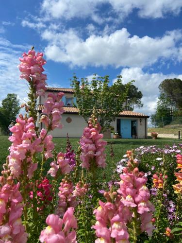 Poderino a place to feel — 4-Star Luxury Hotel in Cento, Italy