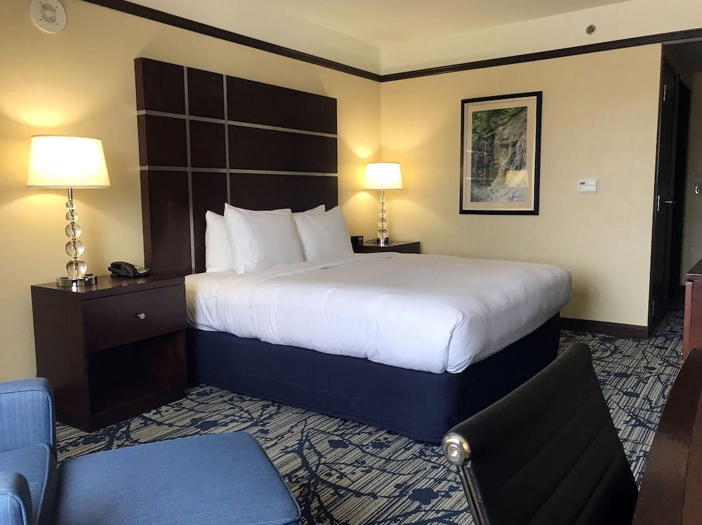 Hilton Asheville Biltmore Park - photo 5