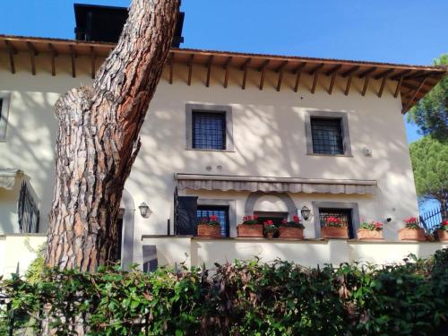 Gemelli Flower's House — 4-Star Luxury Hotel in Rome, Italy