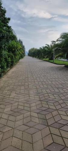 Dreamland Oasis Chakvi