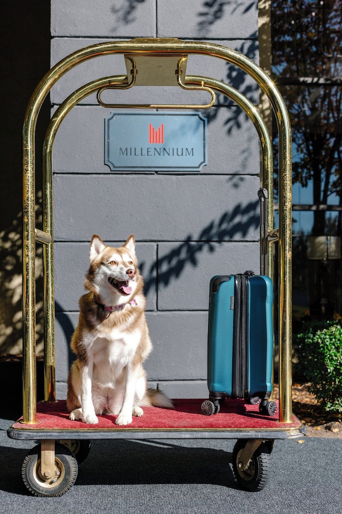 Millennium Hotel Durham - photo 11