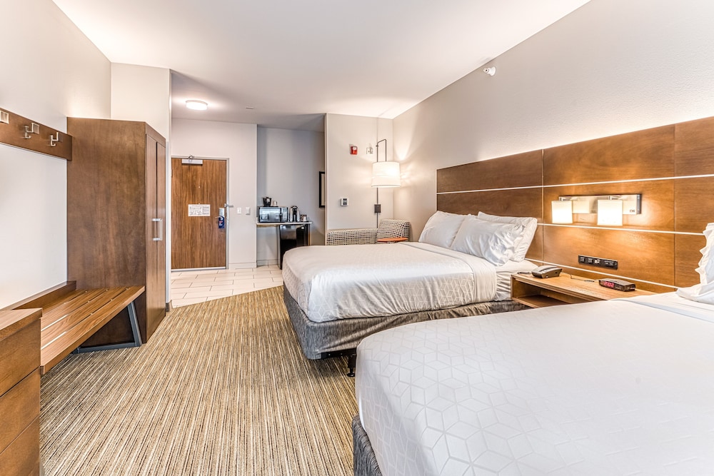 Holiday Inn Express & Suites Rantoul by IHG - photo 13