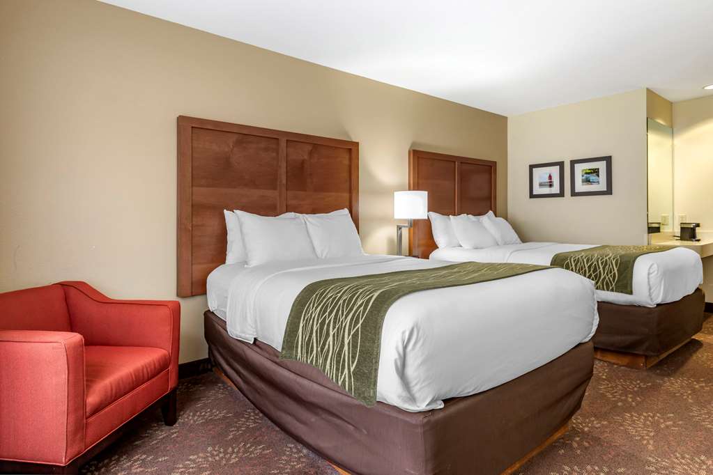 Comfort Inn Okemos East Lansing - photo 15